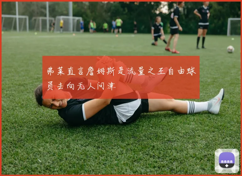 弗莱直言詹姆斯是流量之王自由球员去向无人问津